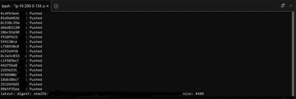 Pushing Docker Images